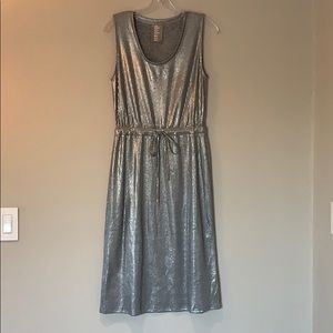 Banana Republic ‘Dolan Collection’ Metallic Dress